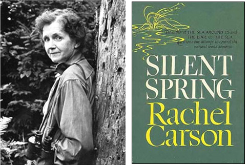 Rachel Carson and book Silent Spring Image